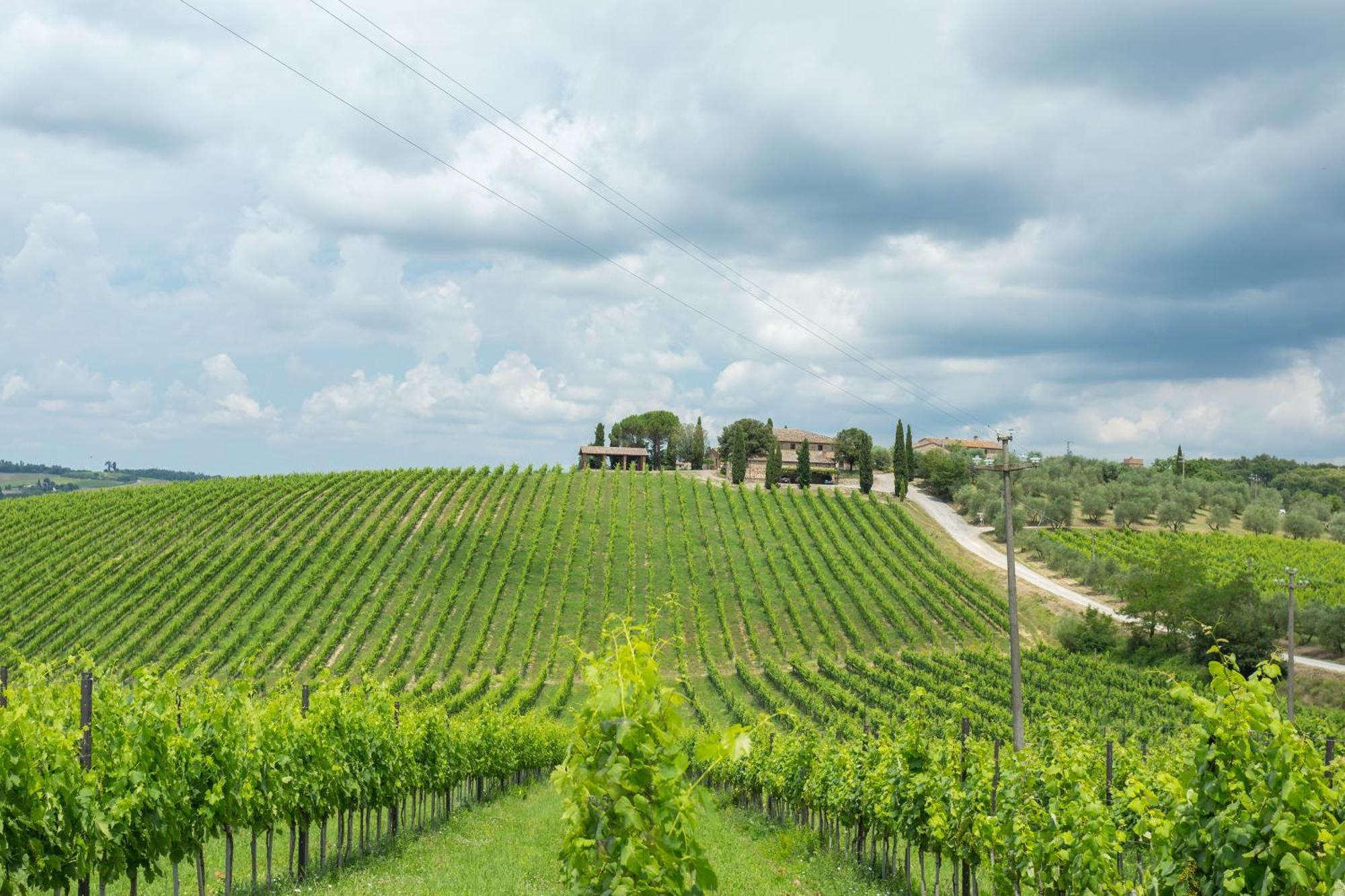 Tenuta Di Monaciano Ponte A Bozzone Pokój zdjęcie