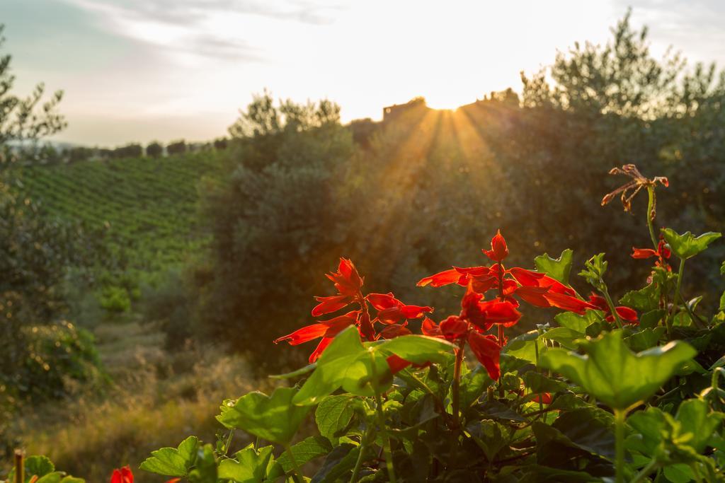 Tenuta Di Monaciano Ponte A Bozzone Zewnętrze zdjęcie