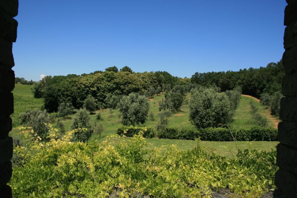 Tenuta Di Monaciano Ponte A Bozzone Pokój zdjęcie