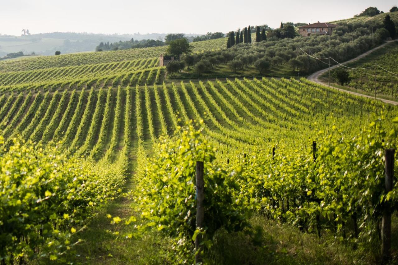 Tenuta Di Monaciano Ponte A Bozzone Zewnętrze zdjęcie